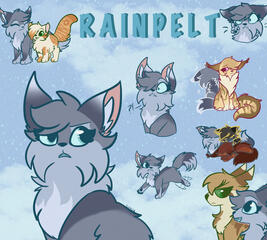 Rainpelt